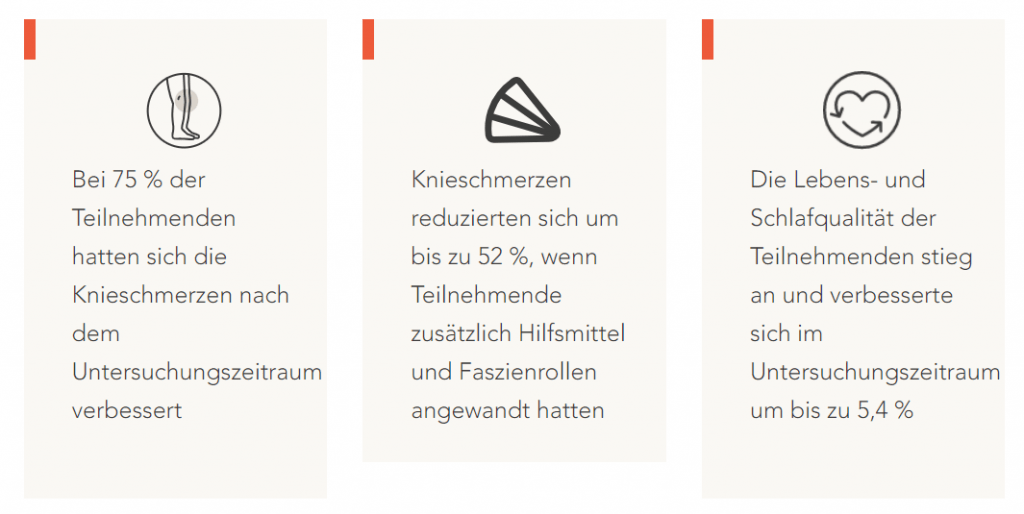 kniestudie liebscher bracht